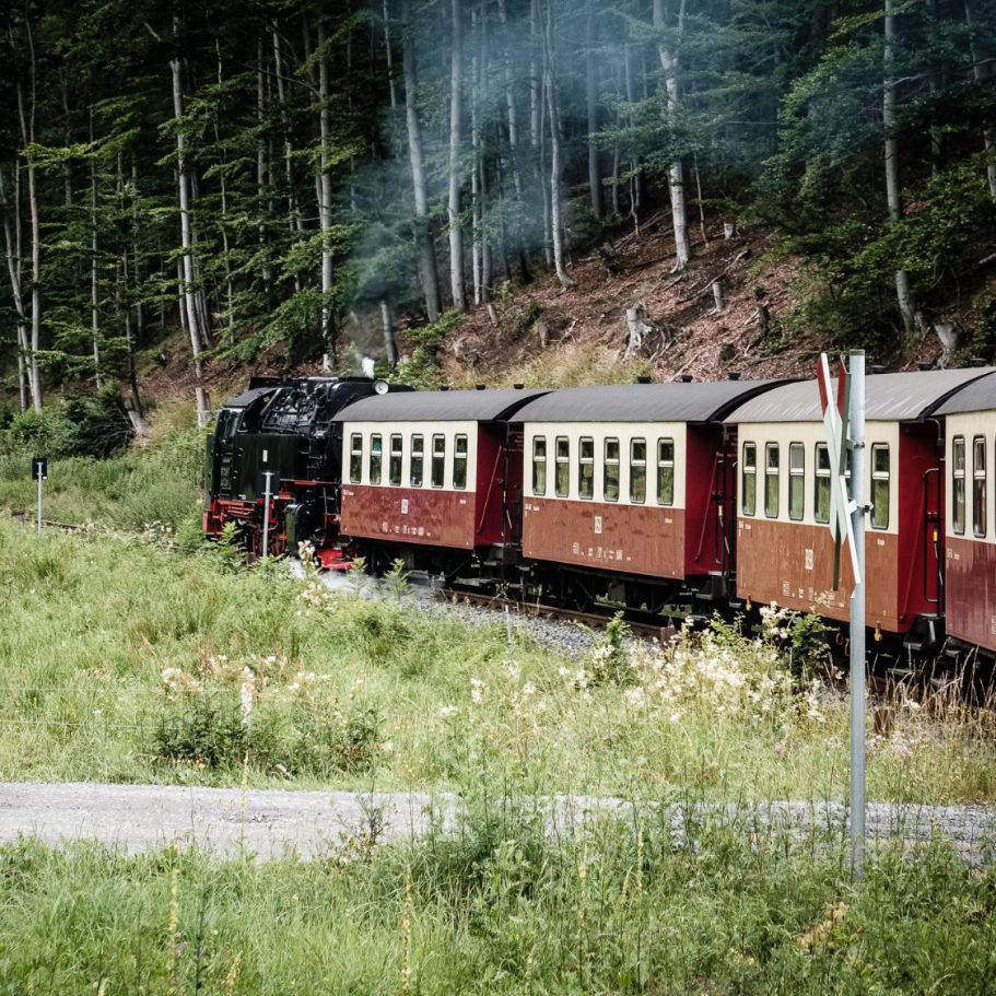 Harzer Schmalspurbahn Dampflok fährt durch eine bewaldete Landschaft mit grünen Wiesen.